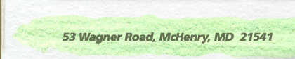 53 Wagner Road, McHenry, MD 21541