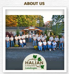 About Us